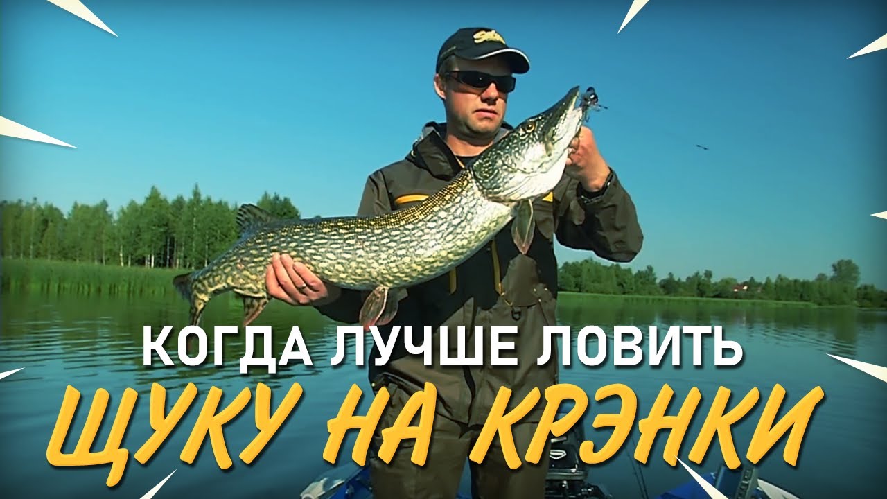 Когда лучше ловить щуку на воблеры крэнки - YouTube