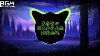［小蓝背心］怕来者不是你（DJ抖音版）怕来着不是你Remix 抖音版本•|•TikTok Song•|•抖音