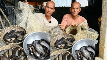 Cá Rô Đồng Sóc Muối Ớt - Toàn Đen Sơn Dược Vlog