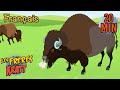 L o le bison vagabonde  saison 3 pisode complet les frres kratt