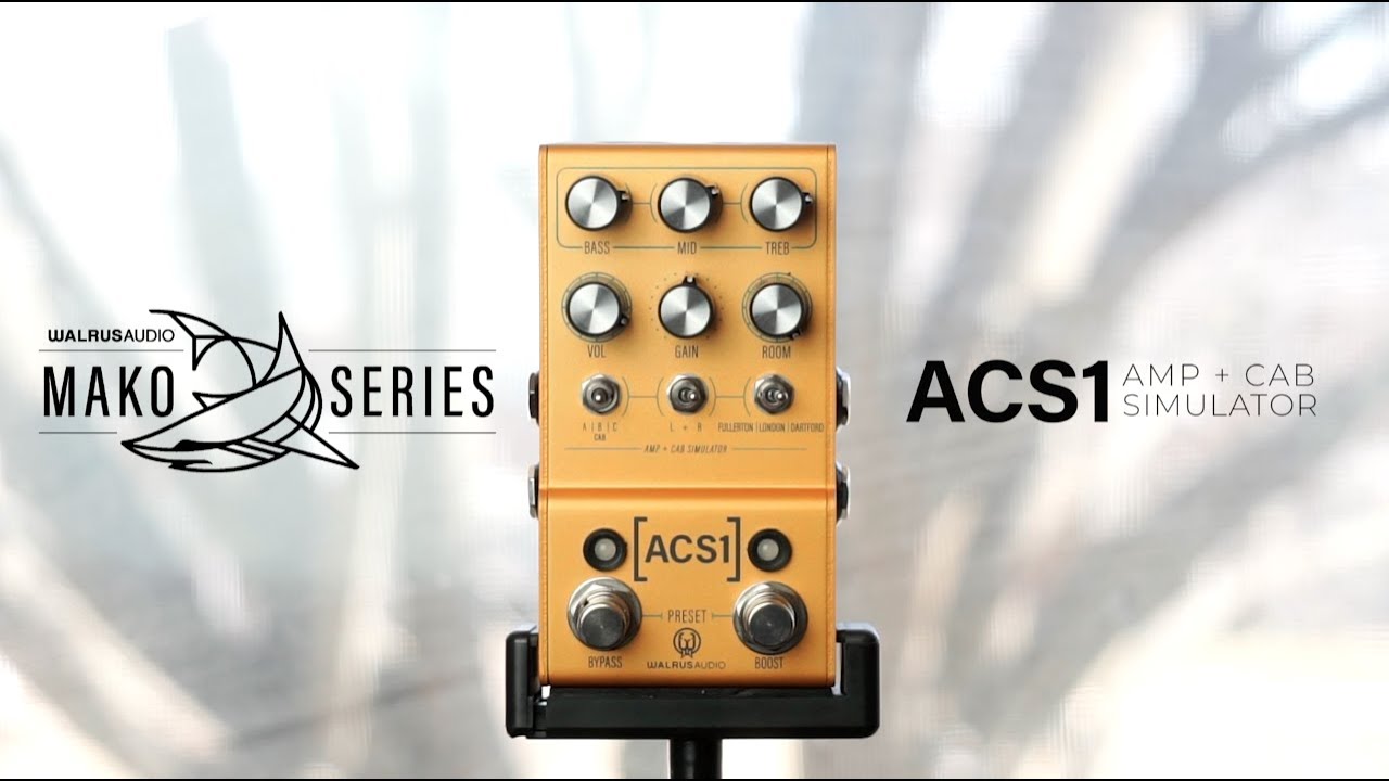 Walrus Audio MAKO SERIES ACS1 Demo - YouTube