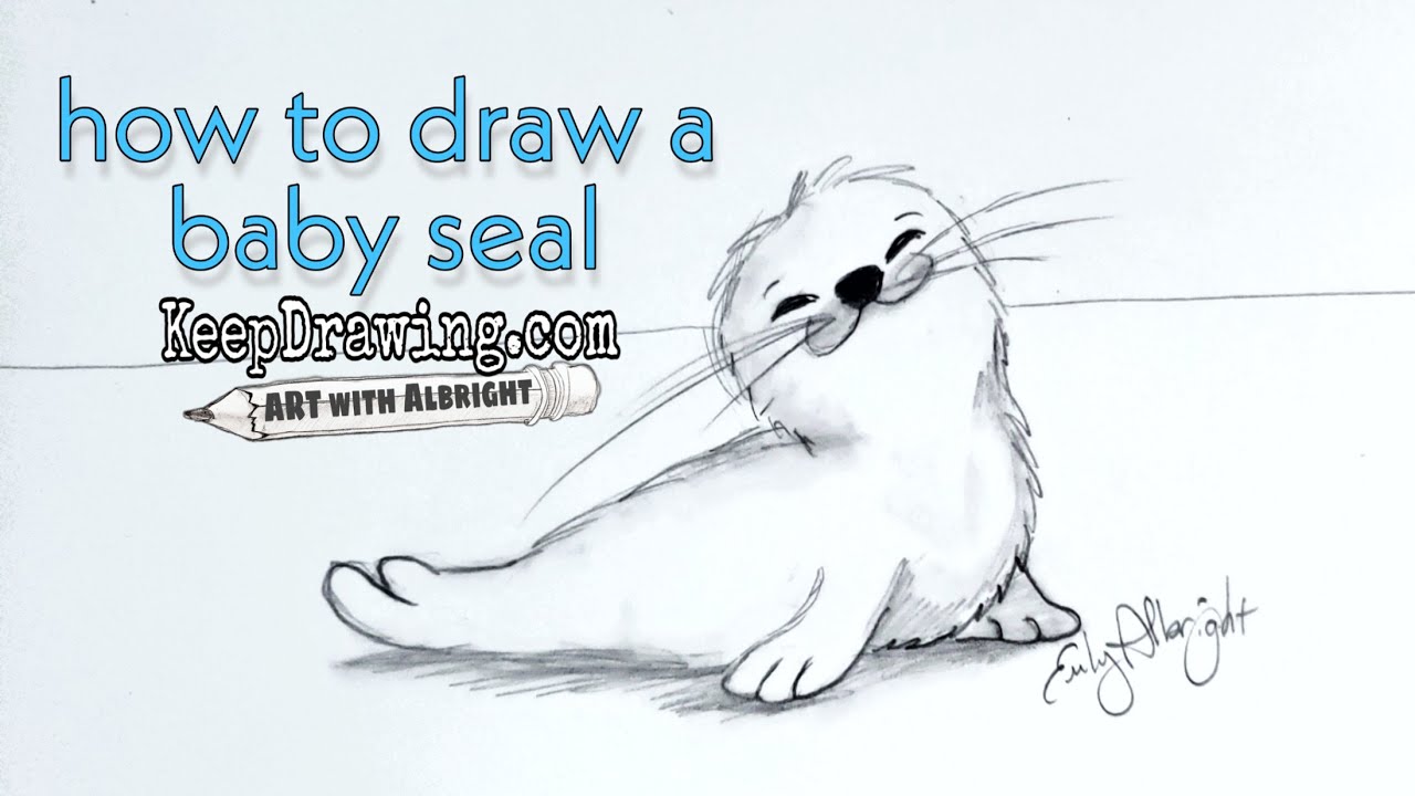 How To Draw A Seal Realistic - just-imaginee