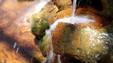 Microcosmic Orbit - Circulate Chi Flow 256 Hz, 513 Hz, 528 Hz, 647Hz, 864 Hz