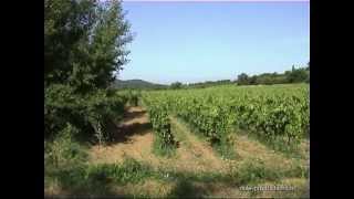 Terra Ventoux, Villes-sur-Auzon/France