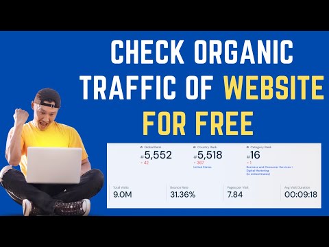 website traffic analysis