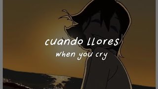 Lost Kitten - Metric ; Lyrics ; Sub Español ~