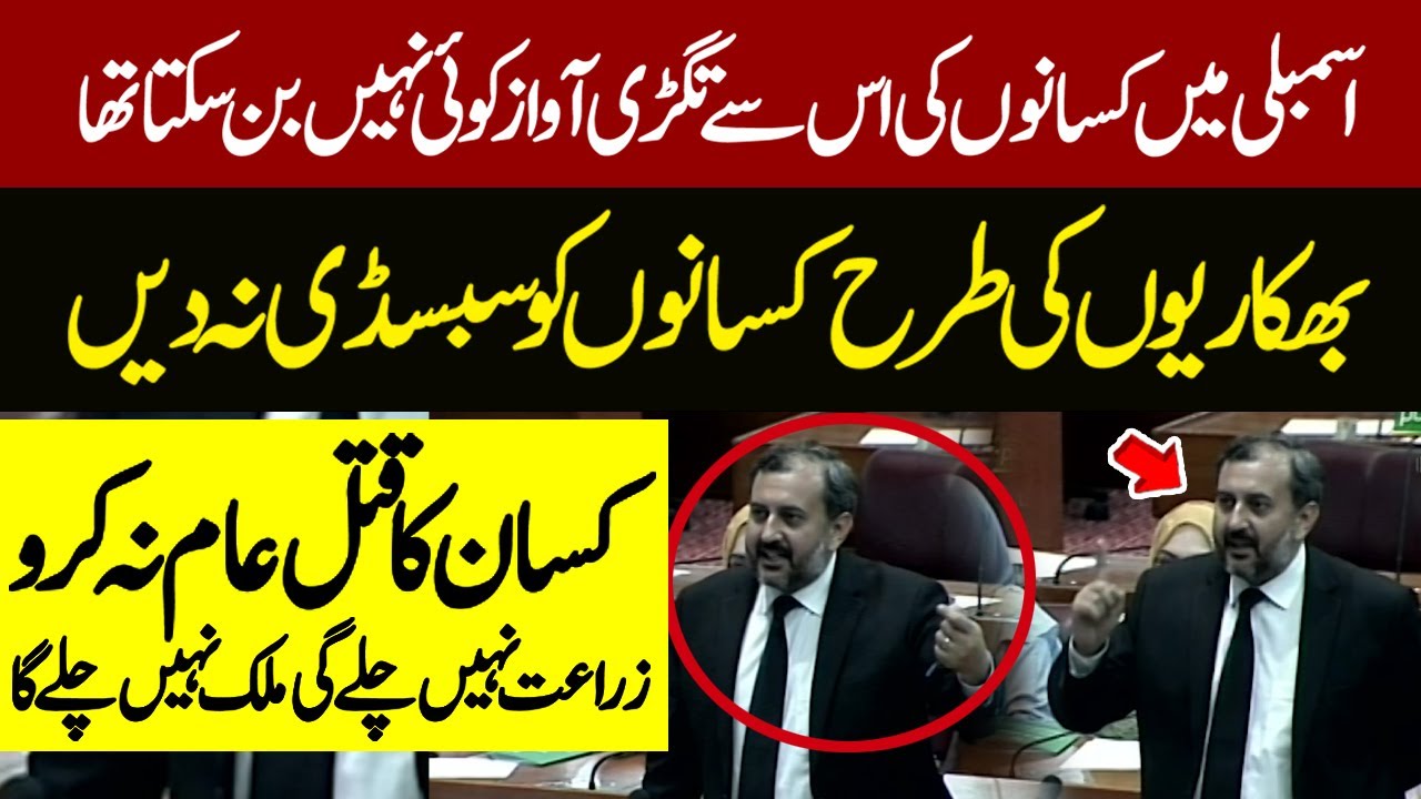 Wheat Price In Pakistan 2024 | Wheat Price Latest Update | New Rate ...