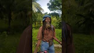 Morning Blessings from Momma Earth