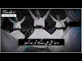 Allah Hu Tumba Kehnda Waris Shah Whatsapp Status Video Badar Writes Allah Hu Tumba Kehnda Waris Shah Whatsapp Status Video Badar Writes