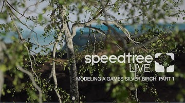 Modeling a Games Silver Birch | Part 1