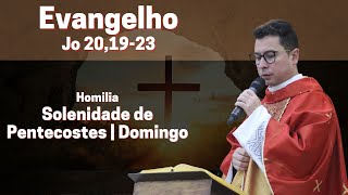 Solenidade de Pentecostes | Homilia Dominical | 19/05/2024