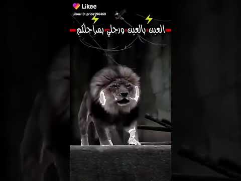 العين بالعين ورجلي بمراجلكم 
