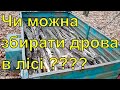 Чи можна збирати дрова в лісі 2. Конституція ст.13