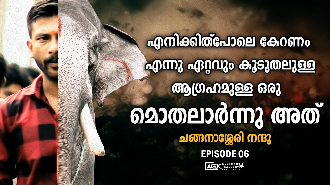 കേറണം എന്നു ഏറ്റവും കൂടുതലുള്ള ആഗ്രഹമുള്ള ഒരു മൊതലാർന്നു അത്  | ചങ്ങനാശ്ശേരി നന്ദു | EP 06