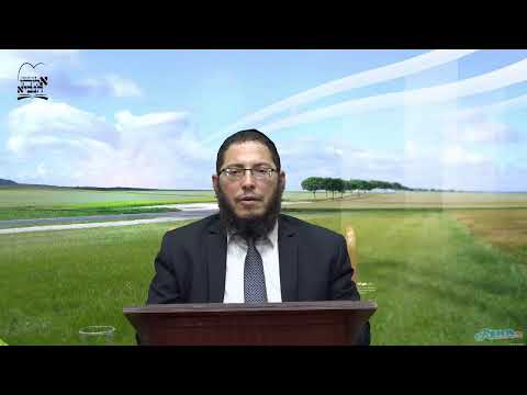 שידור חי של קו ההלכה הספרדי