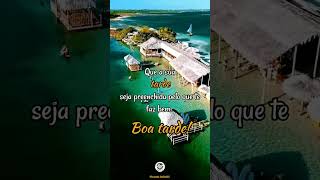 #boatarde #frasesdodia #youtube #youtubeshorts #zenirdias2021