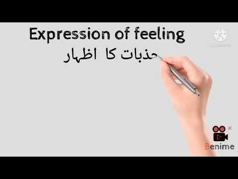 Expression Of Feelings||جزبات کا اظہار ||English With Urdu Translation||