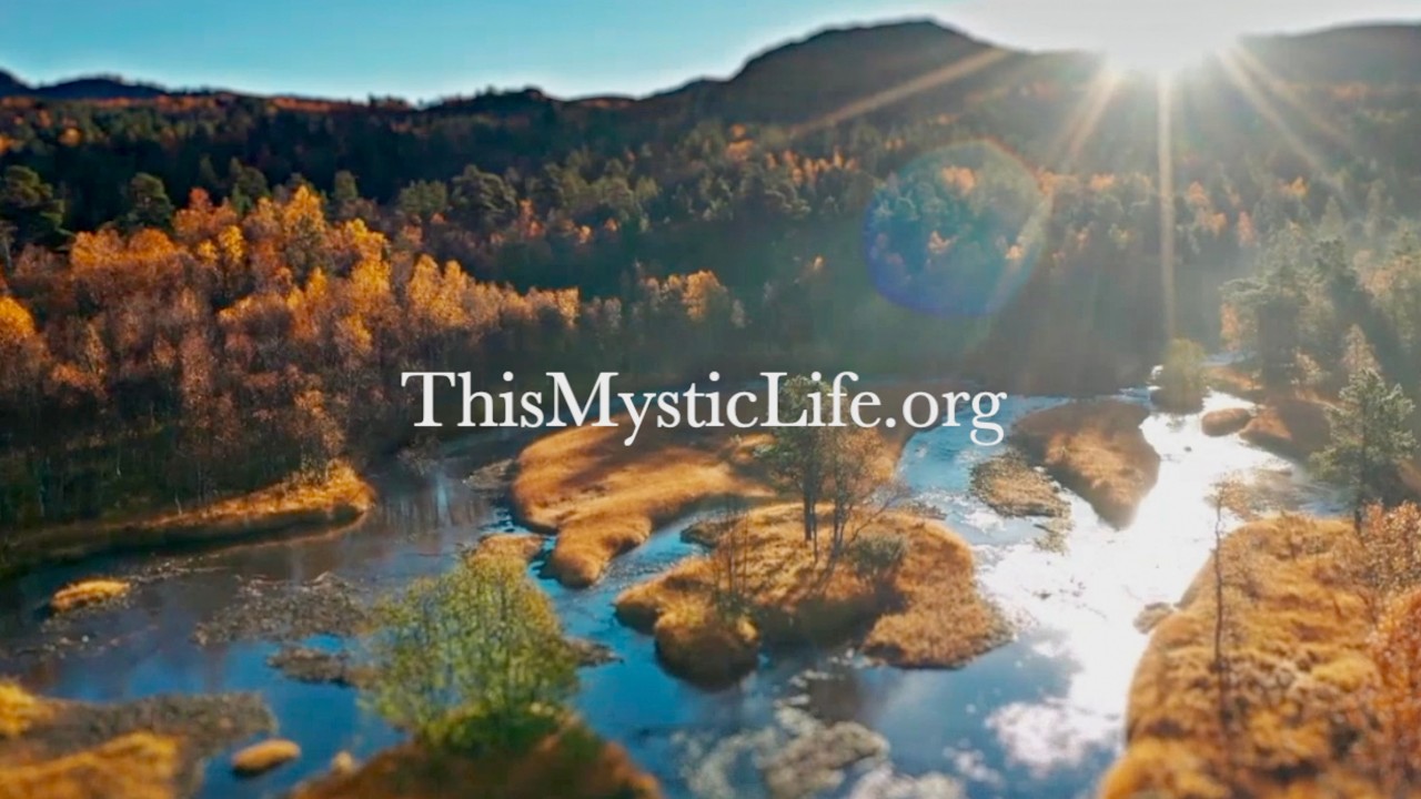 #Wisdom from the Weeds! Pt 1/3 This Mystic Life Podcast - #Mindful #Mysticism with Sarah