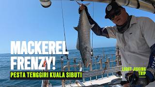 Light Jigging Mackerel/Tenggiri Sibuti Frenzy