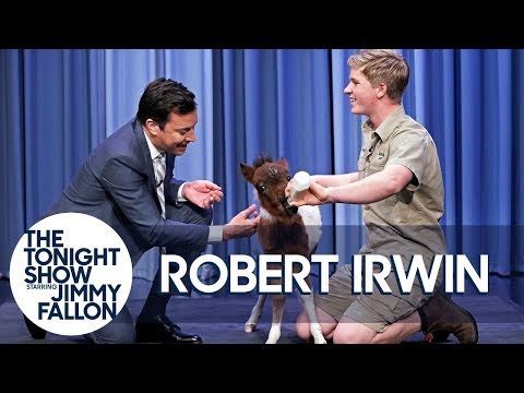 Robert Irwin and Jimmy Bottle Feed a Baby Miniature Horse