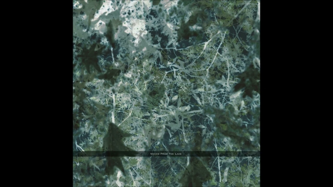 【廃盤3LP】Voices From The Lake / Voices Fro Voices From The Lake | Voices From The Lake