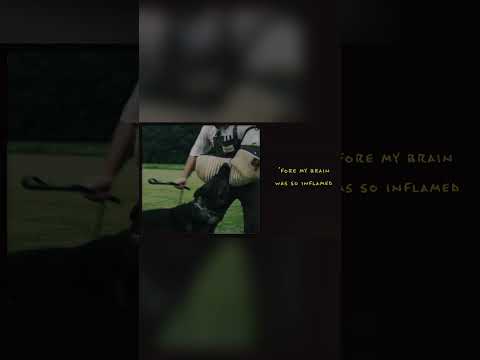 "Bitin' List (Lyric Video)" out now!