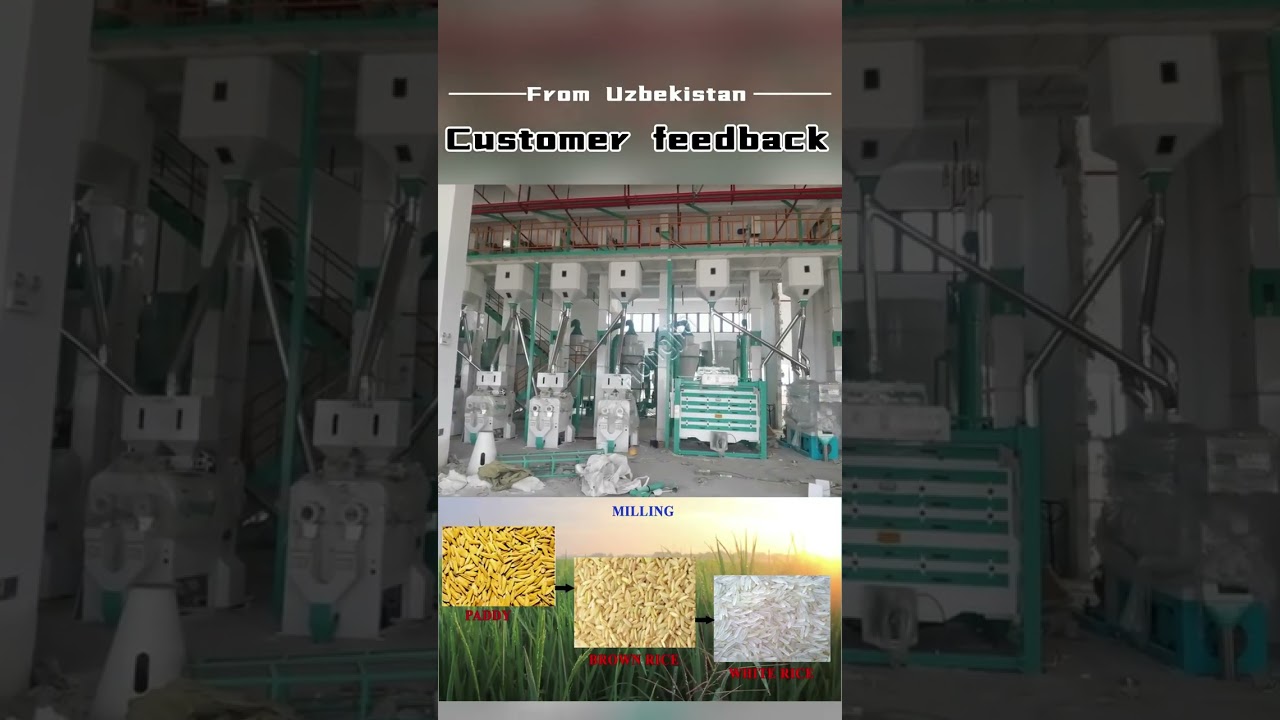 200T/D Rice Milling Plant | Full-Scale Paddy to Packaged Rice Production System 