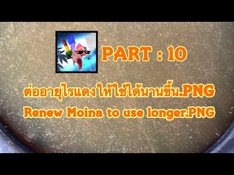 [Part:10] ต่ออายุไรแดงให้ใช้ได้นานขึ้น.PNG | Renew Moina to use longer.PNG