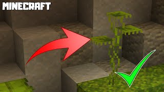 MINECRAFT | How to Get SMALL DRIP LEAF