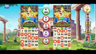 29 # First and second place Bingo and level 24 # Bingo Journey