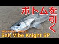 【ベイトシーバス】PRO:TRUST SaltVibeKnight SP × Major Craft CKC-702H × SHIMANO SaltyOne HG【AKASO Brave 7 LE】