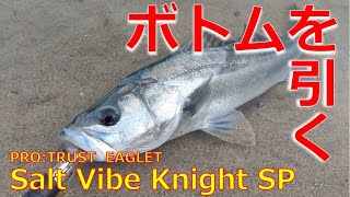 【ベイトシーバス】PRO:TRUST SaltVibeKnight SP × Major Craft CKC-702H × SHIMANO SaltyOne HG【AKASO Brave 7 LE】