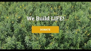 Support Living Web Farms