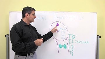 Subclinical Hypothyroidism and Weight Gain with Dr. Rob