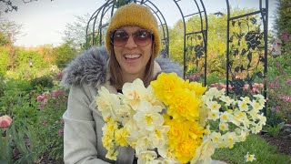 Obsessed with Narcissus!!! Weekly Cut Flower Daffodil Tour!!!