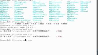 Runlevel, Chkconfig, Service