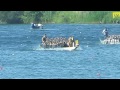 HQ Canadian Dragon Boat Championships 2014 ★ Race 17 ★ RBC Comets, PDBC Premier Mixed, Waterloo Viki