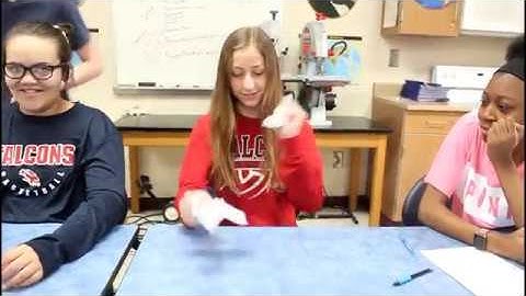 The Fixed Mindset - a Brainology Story