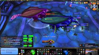 Valiona And Theralion Downed - Order Of Destruction