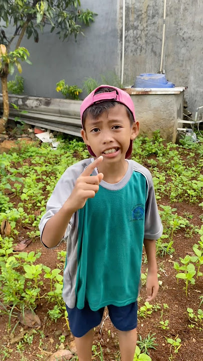 Download lagu There's no such thing as hamud here #comedy #funny #trendingshorts