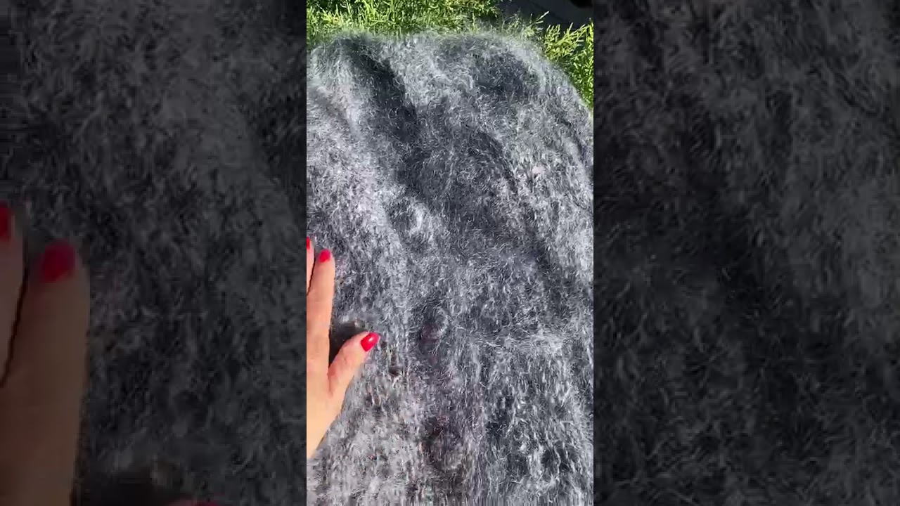 1 февраля 2026 г.