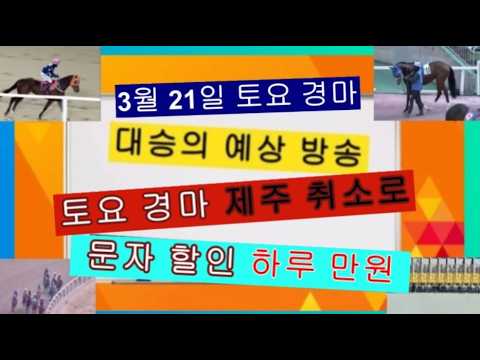 제주 취소 토요 서울 복+병 삼복 참고 제주 취소로 문자 할인 참고 하세요?