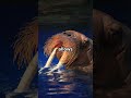 I bet walruses are WAY better at this than you!
