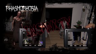 Phasmophobia | Willow & Ridgeview | Insanity | Solo | No Commentary | Ep 41