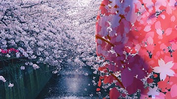 KNB126 Experiment 4 Tactile Motion Design：Sakura（Cheerful）& Snow（Calm）