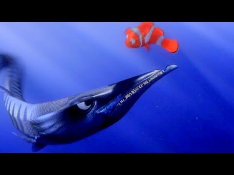 FINDING NEMO - LEAVE US! | BARRACUDA ATTACKS MARLIN! | ATTACK SCENE! | SPONSORED BY GAMMAVISION
