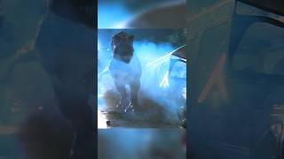 The bus was destroyed by Tyrannosaurus Rex.#movie #jurassicpark #story #viralvideo #shorts