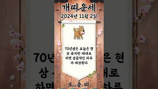 오늘의 개띠 운세 2024년 11월 2일 #개띠 #오늘의운세 #내일의운세 #운세 #운세쇼츠