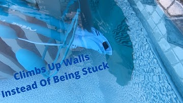 How To Keep Your Auto Vacuum From Getting Stuck And Keep It Moving - A Few Easy TIps!