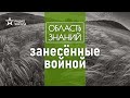 Где искать растения-полемохоры? Лекция биолога Натальи Решетниковой